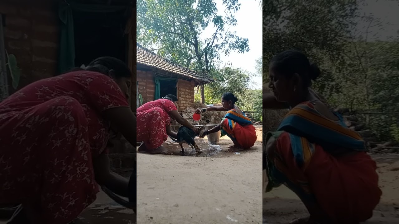 आज आम्ही आमच्या कुत्रीला अंघोळ घातली तिने केला राडा 🤣🤪🙄😱🤓😎🤠🙈🦴💦💦