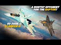 Finally A Worthy Opponent for The Raptor? Su-30SM Flanker-H Vs F-22 Raptor Dogfight | DCS |