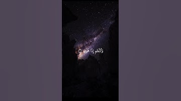 #قرآن #لايك_إشتراك 🌺🌹 🤍 آيات من سورة النجم