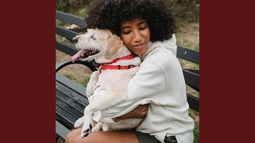 Charming Backdrops for Creative Doggy