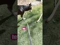 Heyheyyyyyyy #funny