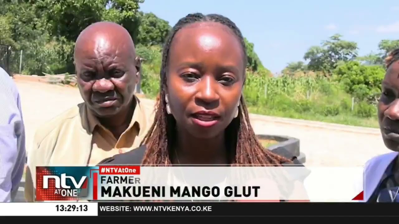 Makueni mango farmers struggle to sell surplus despite county support program