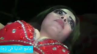اجمل رقص مصري شعبي افراح شعبية الراقصة بتنام علي المسرح