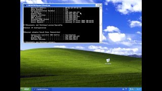 Armitage - Kali Linux (Windows XP)