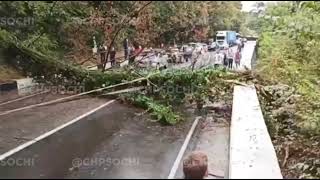 В Сочи в районе поселка Уч-Дере на трассу упало дерево. Движение транспорта парализовано 14.09.22