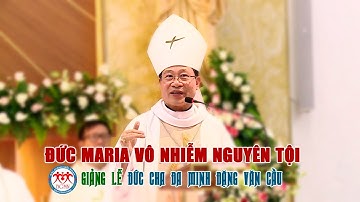 🔴Giảng Lễ Đức Maria Vô Nhiễm Nguyên Tội | Đức Cha Đa Minh Đặng Văn Cầu