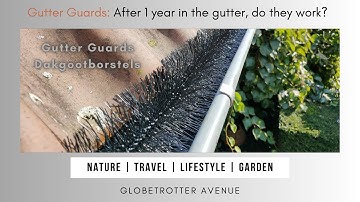 Gutter Brushes performance results after 1 year of use - Review (NL: Dakgootborstels)