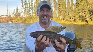 exploring Alaska on a solar 470 and doing some fishing 🎣