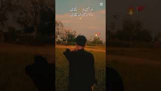 Yo Ham Ko Zar Lagth Ha Robham Ko Kon Sa Shad Lagth Ha bidyasinhamim duniya dambunshinkafa