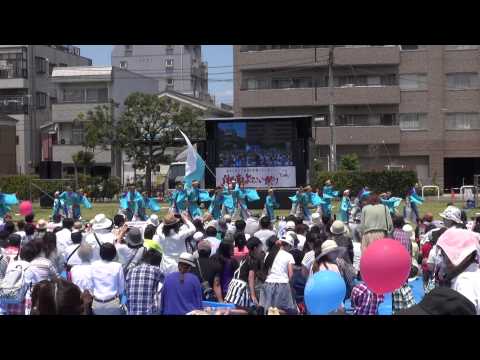 Team湘南＠2015　湘南よさこい