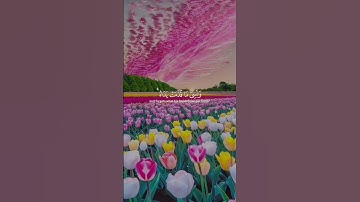 ومن اظلم ممن ذكر بآيات ربه فأعرض عنها #احمد_العجمي #المصحف