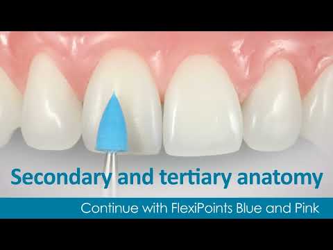 Polychromatic Direct Veneer with Dr. Newton Fahl