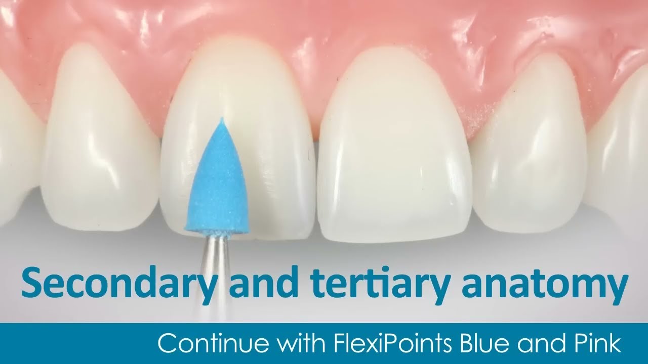 Polychromatic Direct Veneer with Dr. Newton Fahl