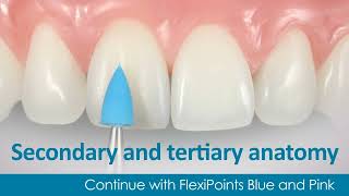 Polychromatic Direct Veneer with Dr. Newton Fahl