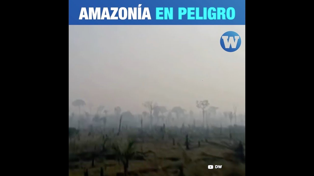 Amazonía en peligro - YouTube