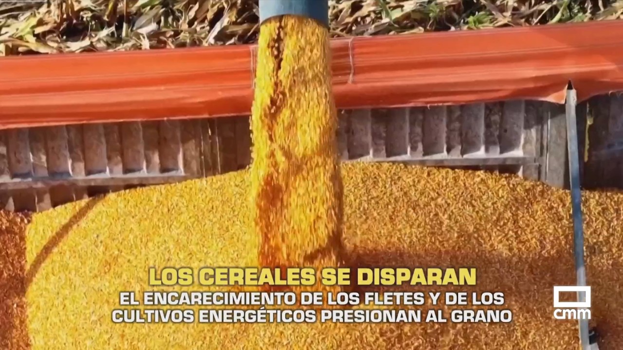 El Campo | Los cereales se disparan | 09/03/26