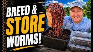 How to Breed and Store Worms!