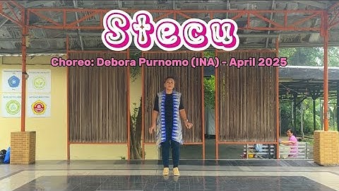 Stecu - Line Dance (Demo & Teach)