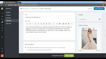 Shopify Basics - How to add collections - Ivy