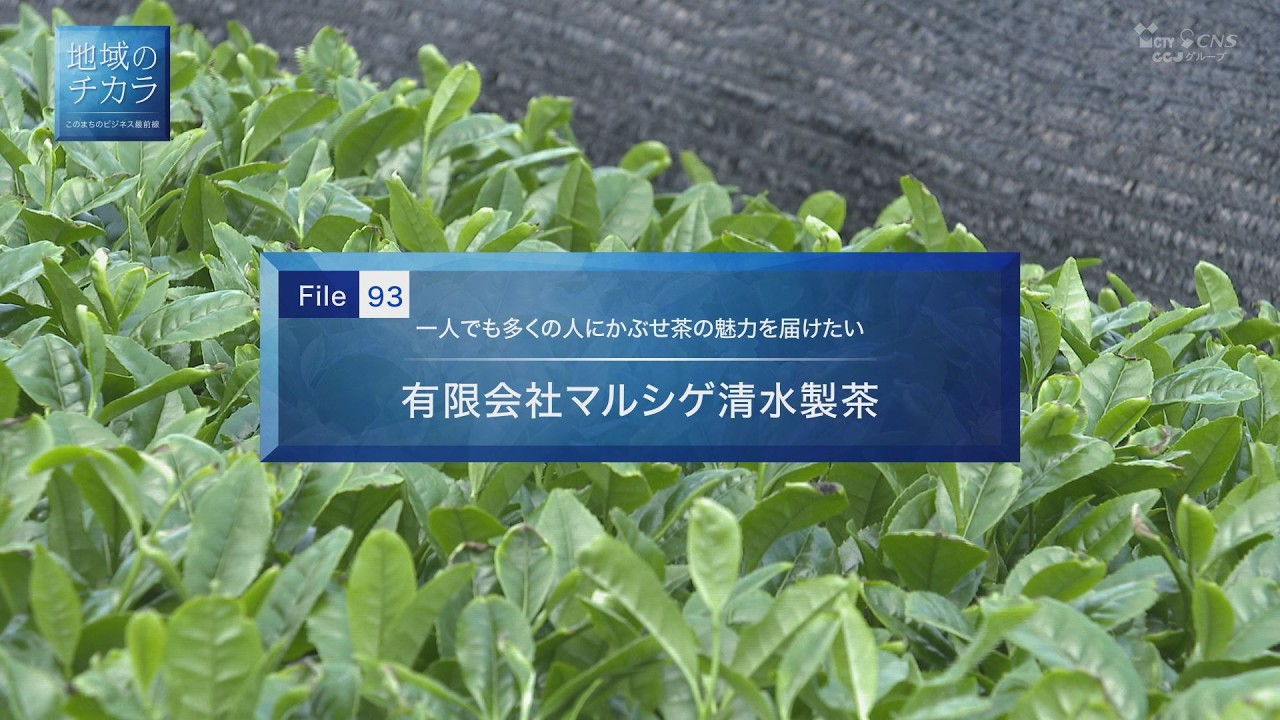 茶々丸ページ 地域のチカラ＞ 有限会社マルシゲ清水製茶2026年6月16日～30日放送