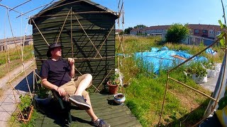 Rick's Allotment (ep74)  First Full Meal From The Allotment