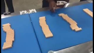 Skywin wafer cutter machine connect with automatic packing system