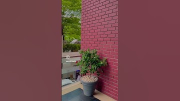 AWS Dev Day Hyderabad 2023 #aws #awsevents #awscloud #awsdevday #data #ai #technology #hyderabad