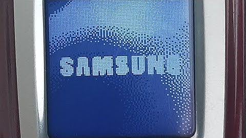 Samsung SGH-X550 Startup and Shutdown - External Display