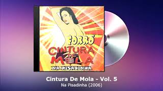 Cintura De Mola Vol. 5 - Na Pisadinha (2006) - FORRODASANTIGAS.COM