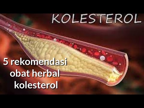 5 Recommendations for cholesterol herbal medicine that are easy to get and cheap