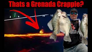 Identify Crappie And Other Species On Grenada