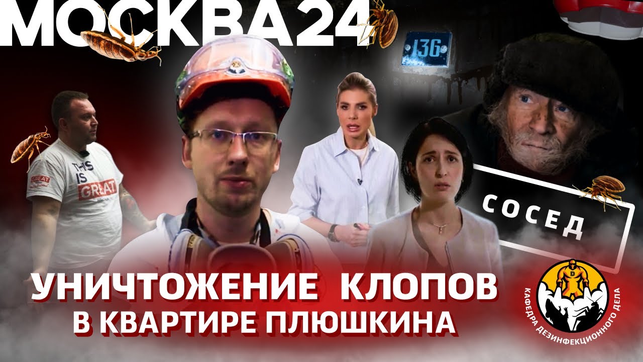 Уничтожение клопов в квартире Плюшкина - YouTube