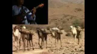 sogha titre yala yala agadez