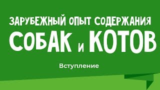 Топ 10 стран по количеству собак и котов - Начало Лекции