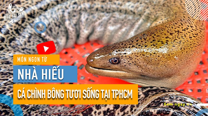 Cá song hoa bao nhiêu tiền 1kg năm 2024