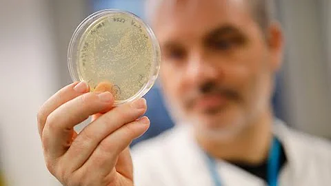 Biotech firms race to develop coronavirus diagnostic tools, treatment and vaccinations - DayDayNews
