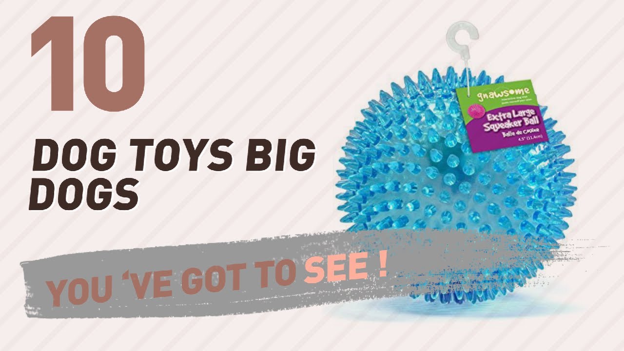 pet supplies supplier Dog Toys Big Dogs // Pets Lovers Most Popular