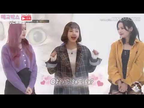최유정 애교