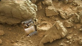 Mars Sample Reurn : Bringing Mars Rock Samples Back To Earth ||