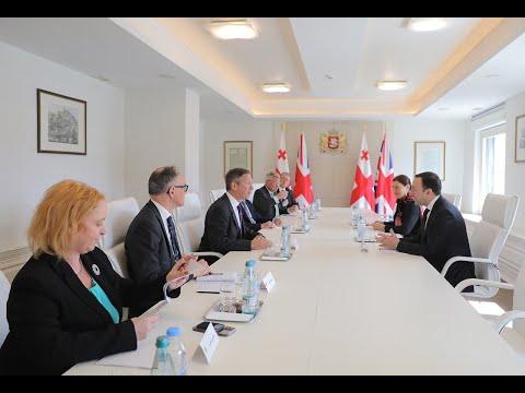 შეხვედრა დიდი ბრიტანეთის საპარლამენტო დელეგაციასთან