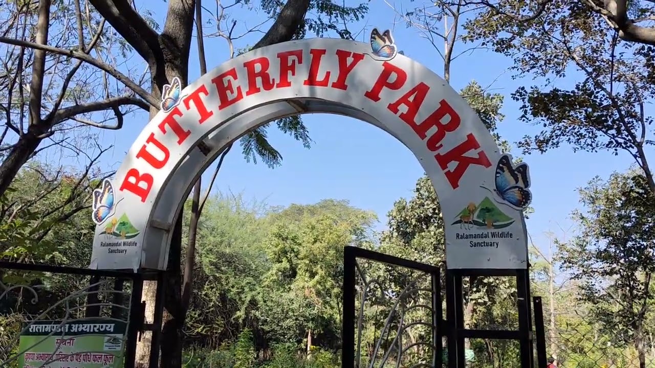 Trekking Ralamandal Sanctuary,camping,butterfly park dense forests,Indore
