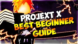 Project x ¦ Best Beginner Guide If You Want To Get Started
