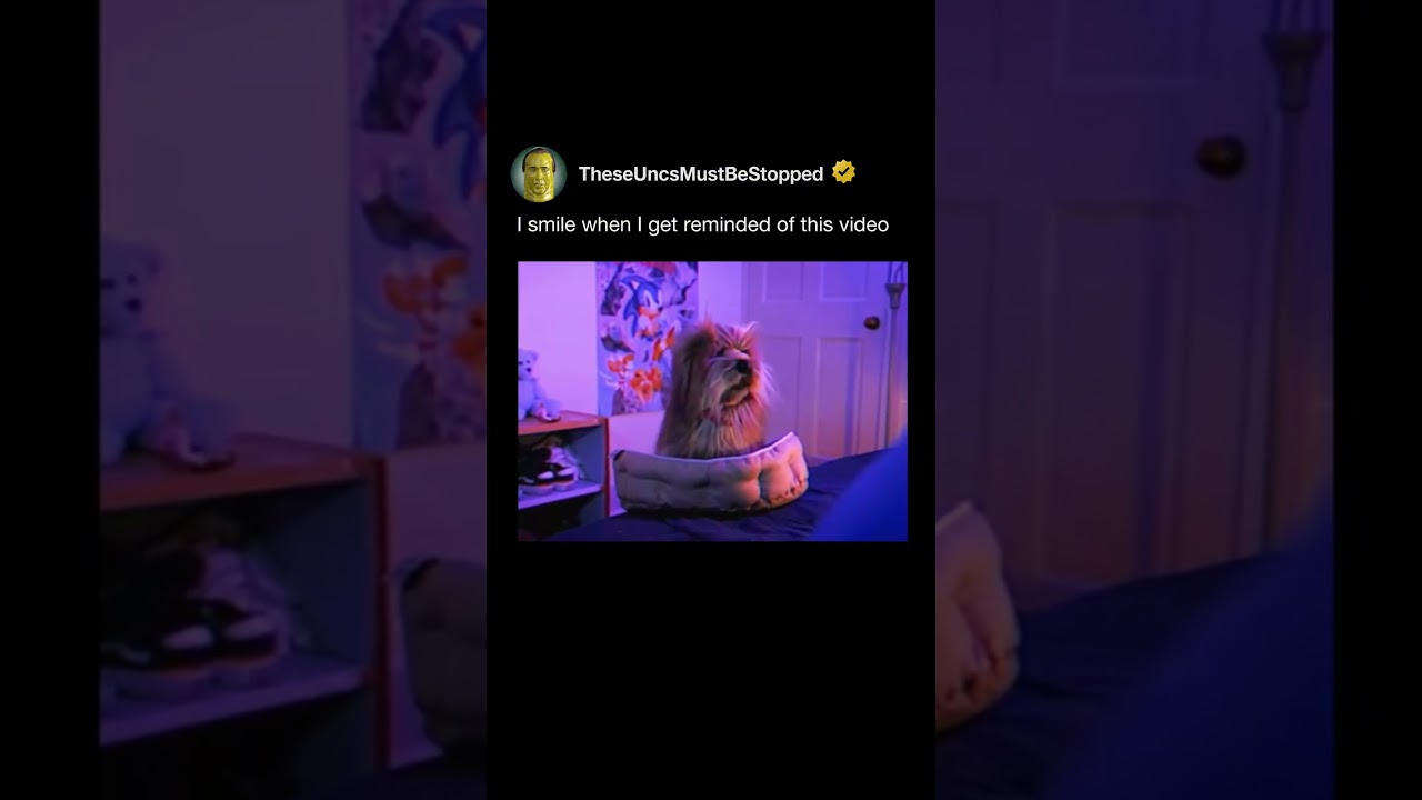 The Dog Actually Talked Back 😭⚡