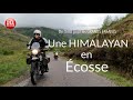 Une himalayan en cosse  de leau pour les grands enfants