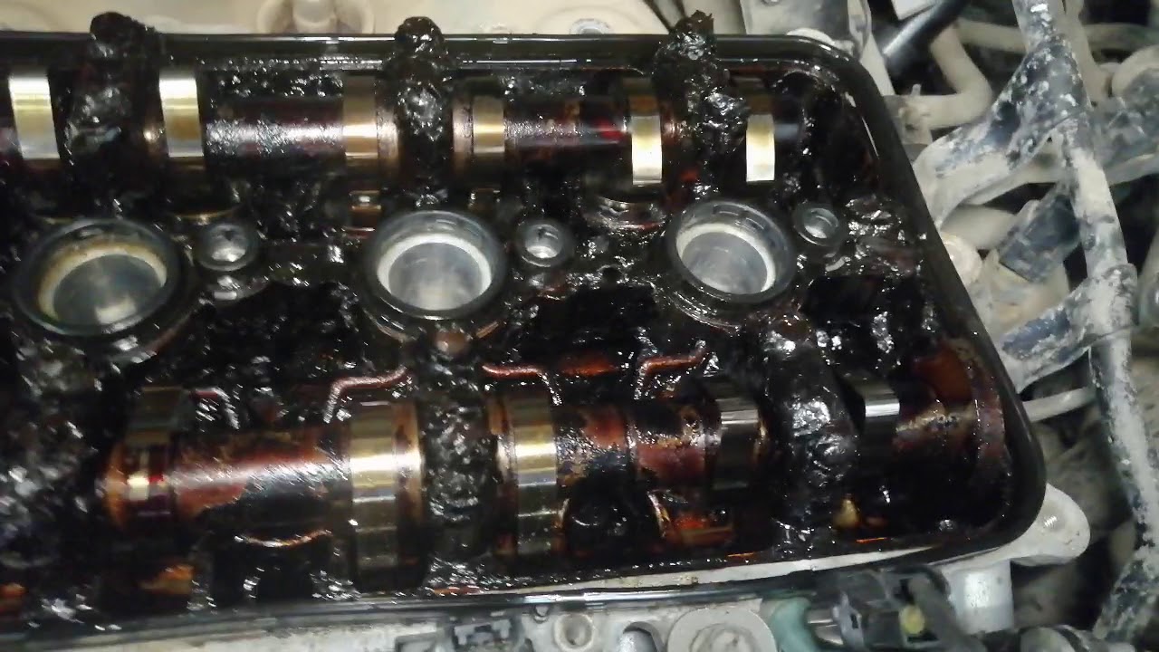 Бесплатная замена масла SPOT - YouTube