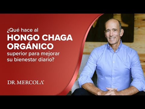 El Dr. Mercola comparte los beneficios del Hongo Chaga silvestre