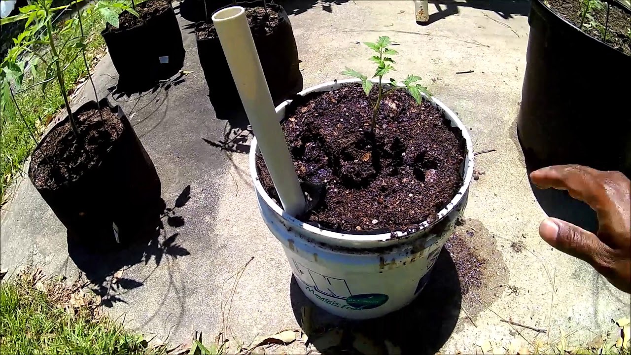 Wicking Buckets part 1 YouTube