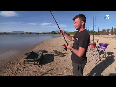 Villeneuve-de-la-Raho : le lac envahi par les championnats de France de pêche à la carpe