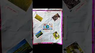 📚 D.el.ed TLM For EVS(Class 1 to 5) || Environmental Science TLM || TLM for Primary level internship