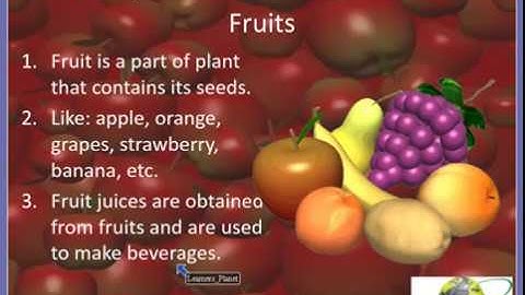 5th Science Health and Hygiene video lesson 2 Part 2